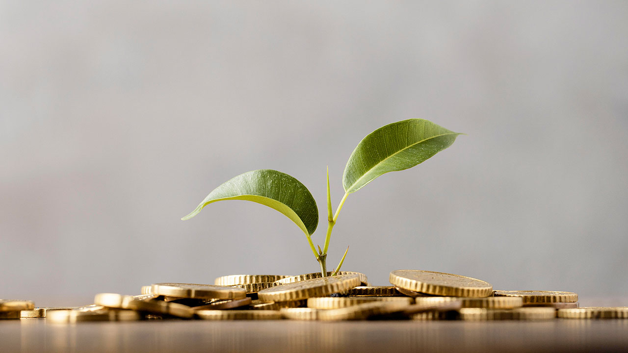 Welcome to Muktarks Small Finance Limited
